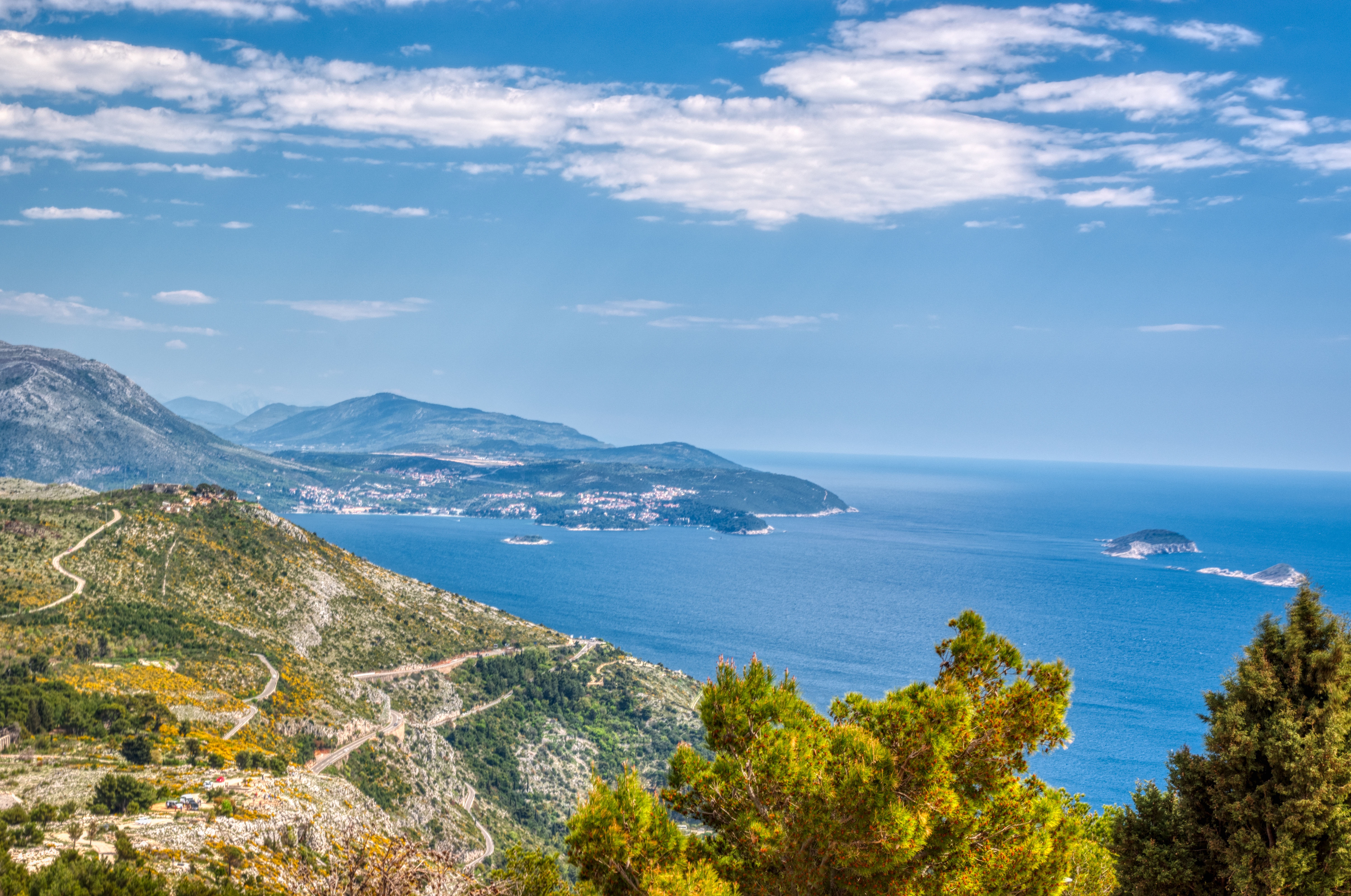 Panoramic view
